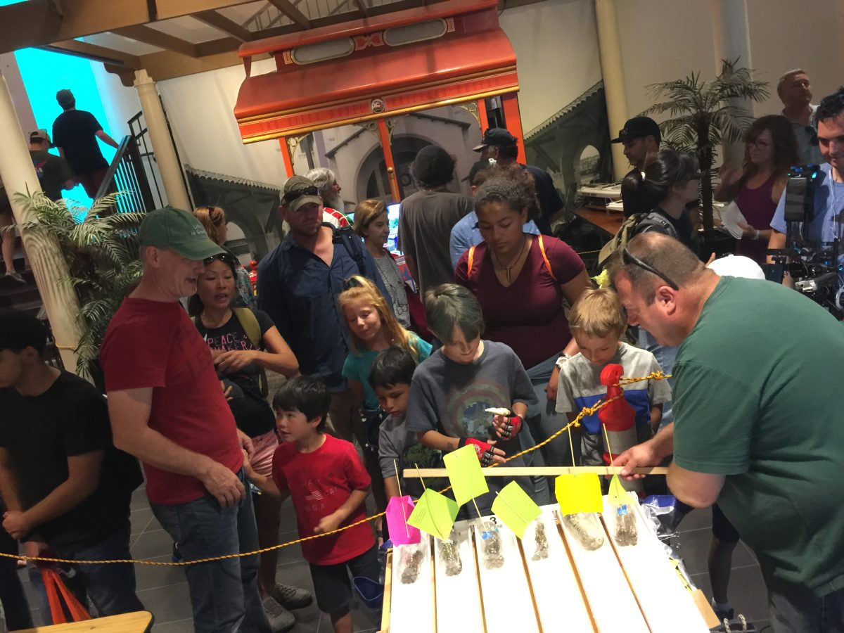 San Diego Argonauts, WWCC & More at Maker Faire San Diego