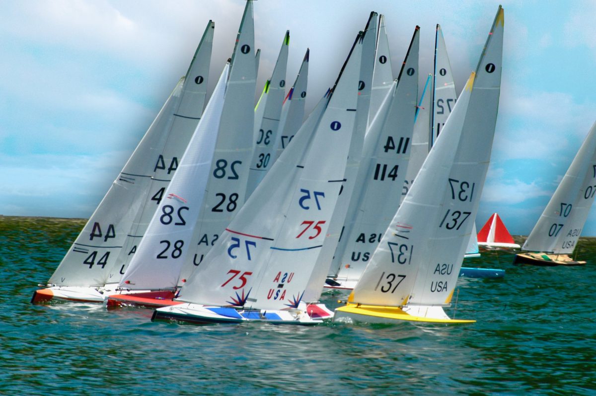 SAIL DIVISION-good things are shaking in the wind..