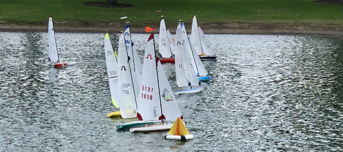 SOLING 50 SUMMER REGATTA