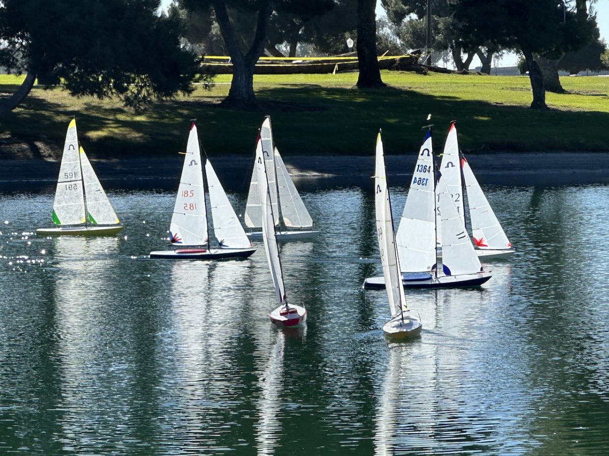 Jan. 6 Sail Points-Soling 50 & ODOM